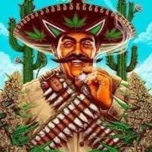 Meet your Posher, Felipe anastacio